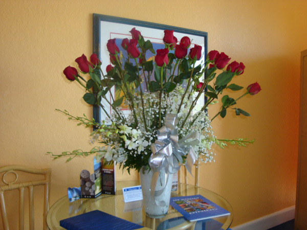 25 beautiful red roses from Scott with a pretty silver bow